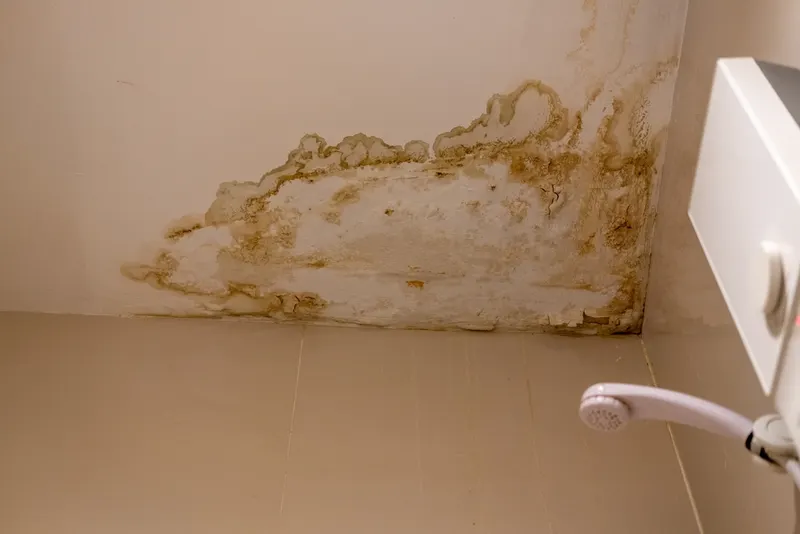 Condensation & mould in Harrogate