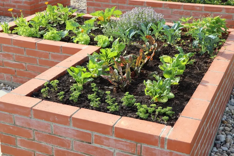 Raised beds in Harrogate