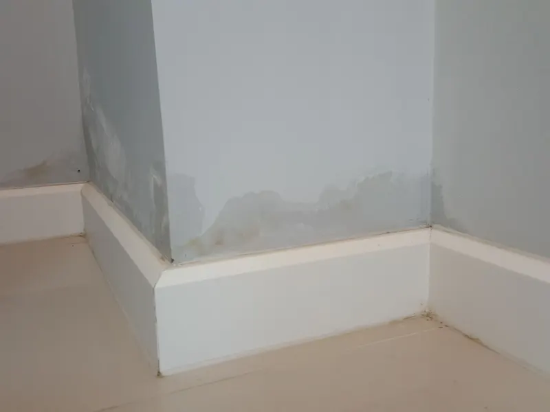 Damp staining at the base of an internal wall